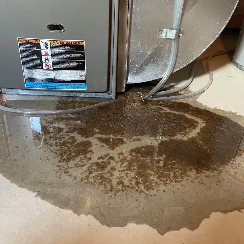 Appliance Leak Cleanup in Hawkins County, TN